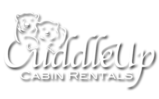 North Georgia Cabin Rentals