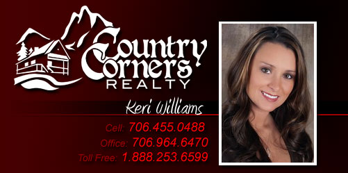 Georgia Mountain Real Estate Property