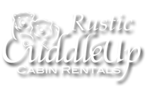Georgia Cabin Rentals